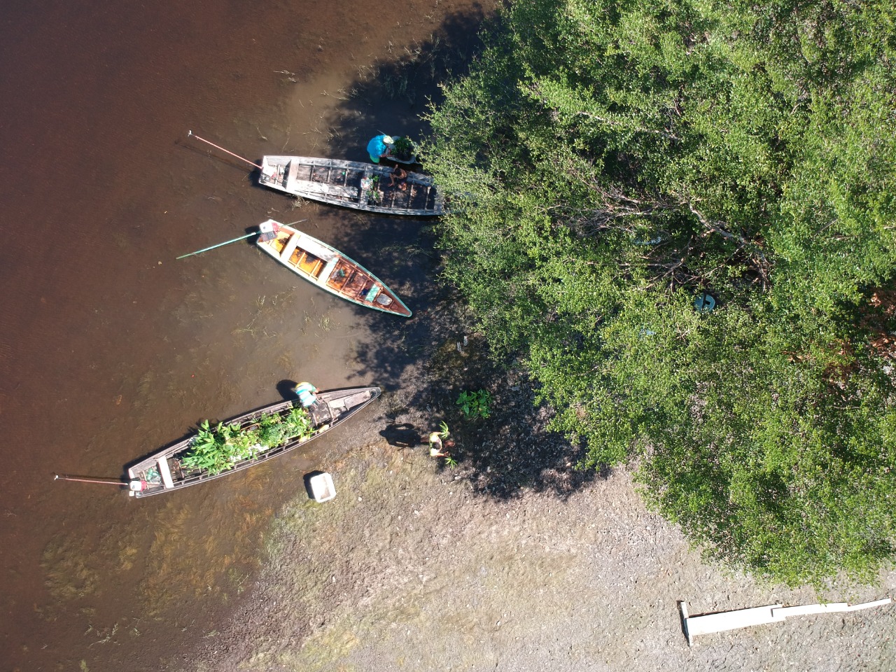 MRN revela jornada de restauração ecológica do Lago Batata