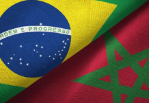 Brasil x Marrocos: o que o fertilizante que alimenta o mundo tem a ver com a mineração?